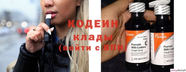 ГАЛЛЮЦИНОГЕННЫЕ ГРИБЫ Абаза