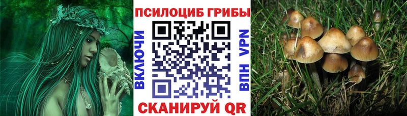 это как зайти  blacksprut как зайти  Псилоцибиновые грибы MAGIC MUSHROOMS  Шарыпово  купить закладку 