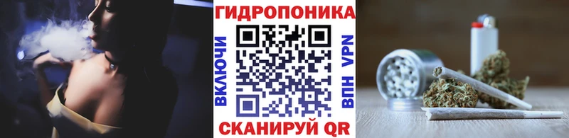 Конопля SATIVA & INDICA  цена наркотик  мега ссылки  Шарыпово 